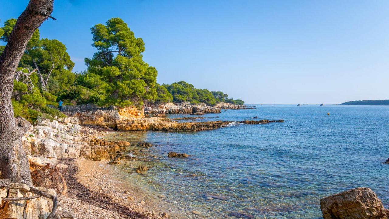 Rez-De-Villa Mougins Ngoại thất bức ảnh